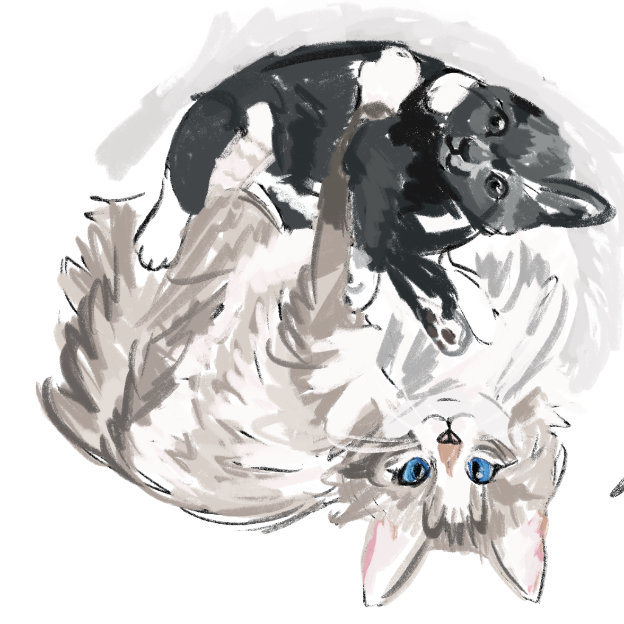 Jessie's two cats
