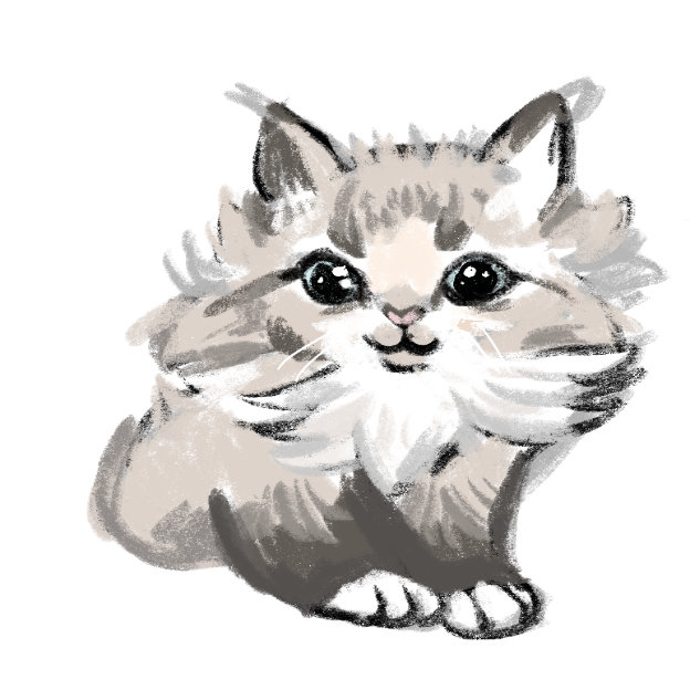 Jessie's kitten
