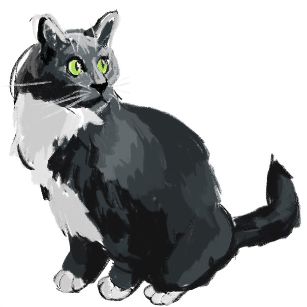 Jessie's Taco cat