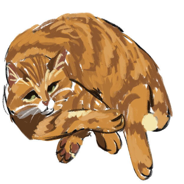 Jessie's Blaze cat